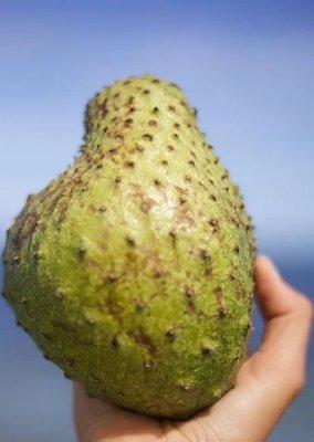 Guanabana= Soursop fruit