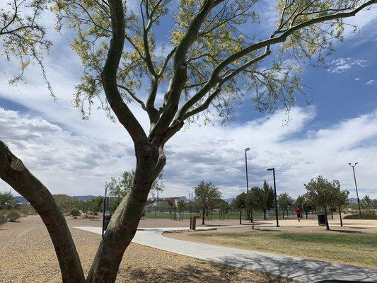 View of the gated dog area from the parking lot. It's quite a trek to get to the gated entrance from the parking lot.