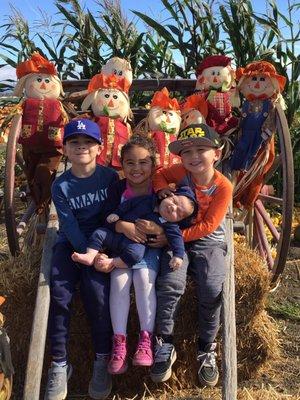 Tommy's Pumpkin Patch 2016