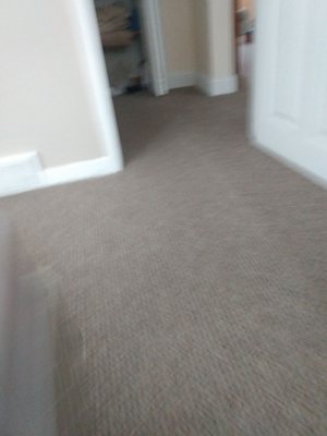 Carpet cleaning