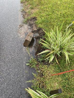 The mail person is constantly running over my grass/plants/pavers...we placed items to stop the build up of water.