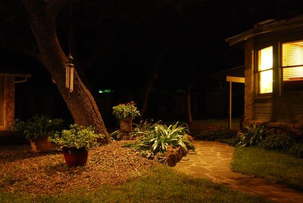 Lighting from above captures the foliage 7 pathways just right