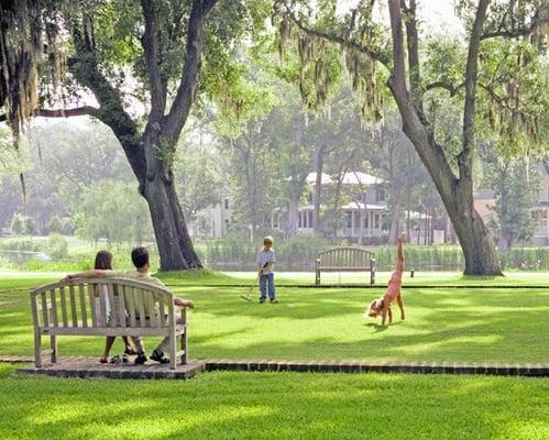 Habersham's woodland and waterfront parks are filled with ancient, moss-covered live oaks and create relaxing shared spaces.