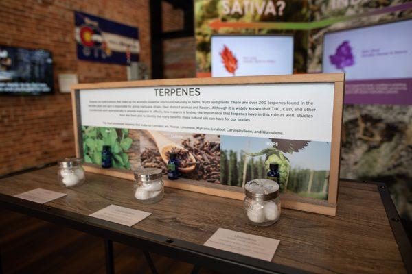 Learn about Terpenes and the different aromas they have.