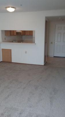 Standing in living area looking at kitchen.