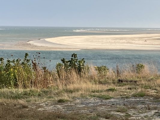 Monomoy National Wildlife Refuge