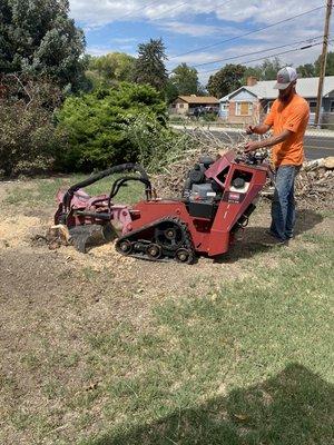 Stump Grinding