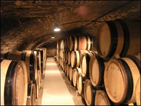 Domaine Magnien caves in Chambolle-Musigny