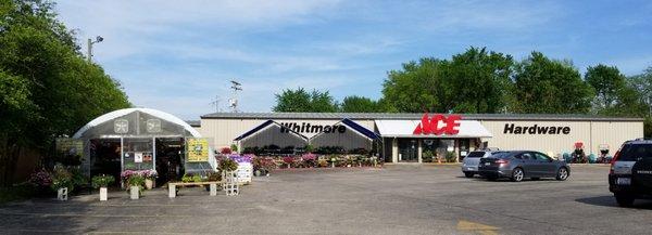 Whitmore Ace Hardware