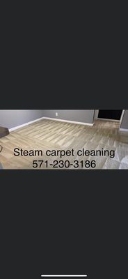 Carpet cleaning and steaming