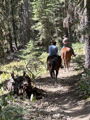 Alpine Meadows Stables