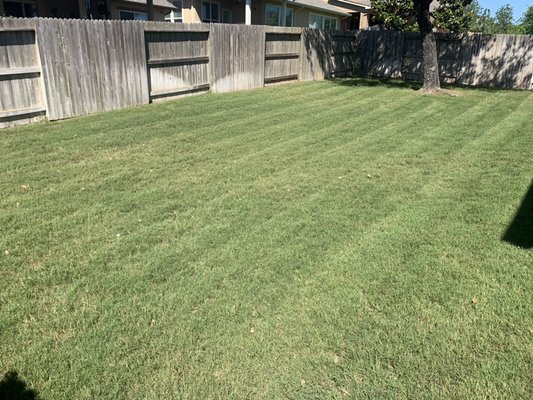 This yard has seen dramatic improvement since we began maintaining it. Proper care leads to a beautiful lawn.