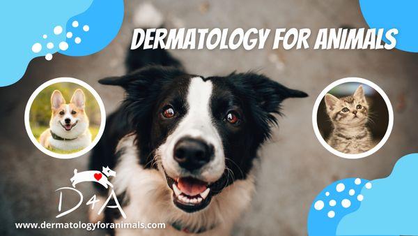 Dermatology for Animals - Rochester