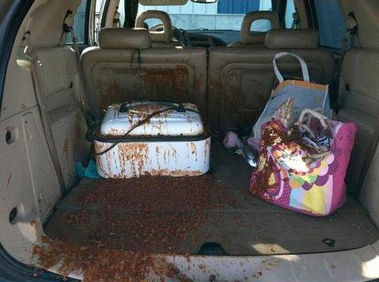 Someone forgot to latch down the beans on the way to dinner.