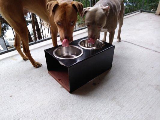 Handmade dog bowls stands.