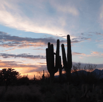 Live Tucson Real Estate | Joe V | My Home Group, LLC