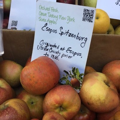 At Troy Waterfront Farmers Market (Indoor)