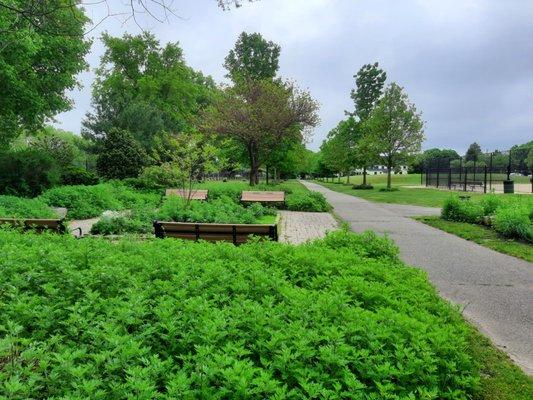 The central-east greenery benches (looking south) are my second favorite Heritage Park benches to sit.