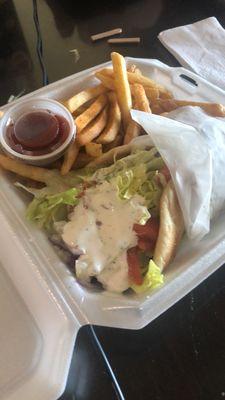 Gyro with fries