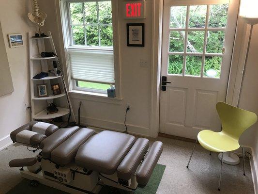 Dr. Nick's treatment room, facing the beautiful backyard sitting area and bird feeder!