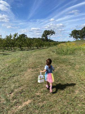 Path to pick peaches