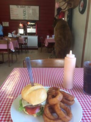 Burger, onions rings, and taxidermy.