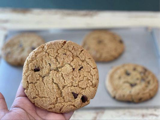 Fresh cookies baked daily!