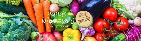 You want green? Nana's Bloomers has it. annual, perennial, vegetable and fruit plants  Call the experts today!