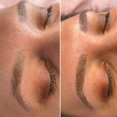 Microblading Touch Up Tampa