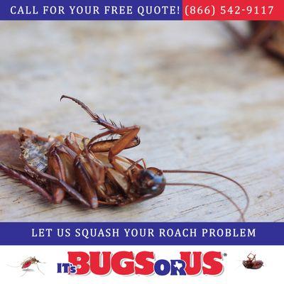 It’s Bugs Or Us Pest Control - Fort Worth