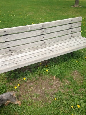 Benches throughout the park