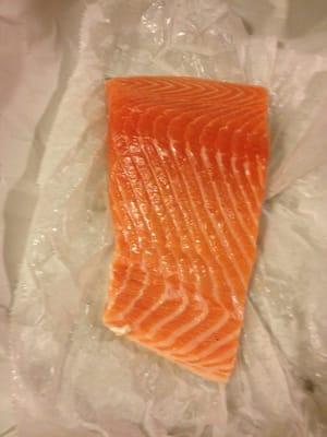 Salmon