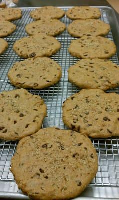 Large vegan organic whole grain spelt choc chip with walnuts and peanut butter