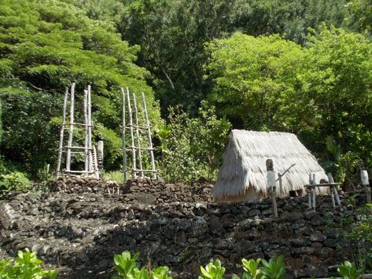 Hale O Lono Heiau House of Lono