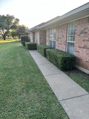 Beautiful trimming.,