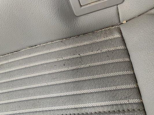 Dirty seats probably not vacuumed. Lots of crumbs left and dog hair and dirt.