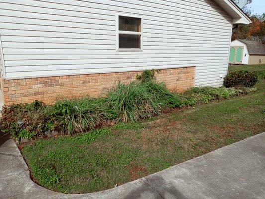 Took out all the plants and made a rock bed