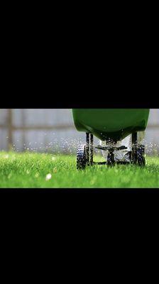 We offer a granular lawn care program! NO CONTRACTS!