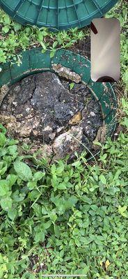 Drain field/ septic tank failure.