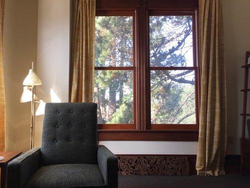 Peaceful corner office overlooks pine forest