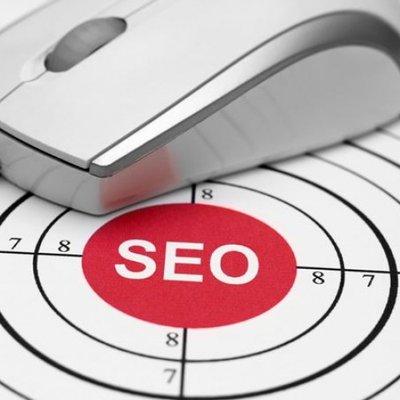 Professional SEO Services