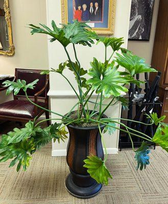 Indoor plant design and maintenance services available in Tyler and surrounding areas. Call (903) 392-6655 for a free estimate.