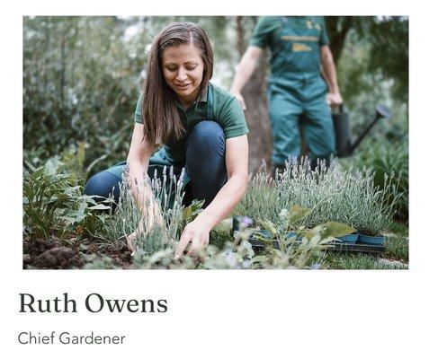 Chief Gardener