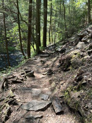 South Cumberland State Park