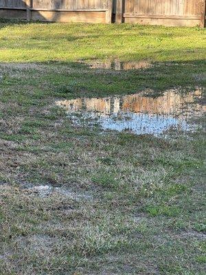 That is my lake. Obviously a "before" picture.