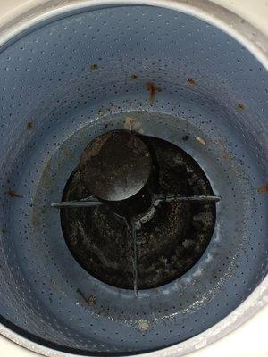 Standing water in broken washer