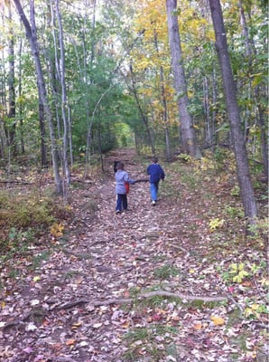 Beautiful hiking trails for dogs and kids!