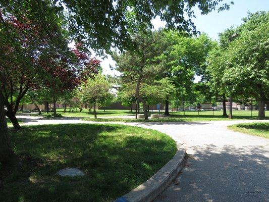 Interior view of the Solo Gibbs Recreation Center park.