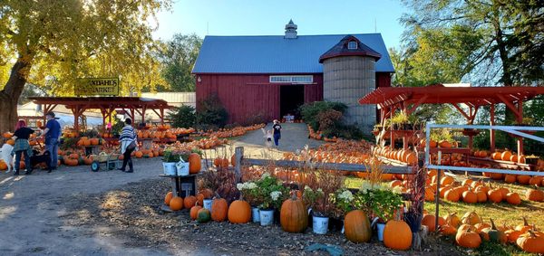 Axdahl's Garden Farm & Greenhouse