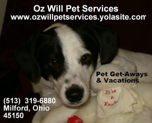 Oz Will Pet Service Cage Free Dog Care